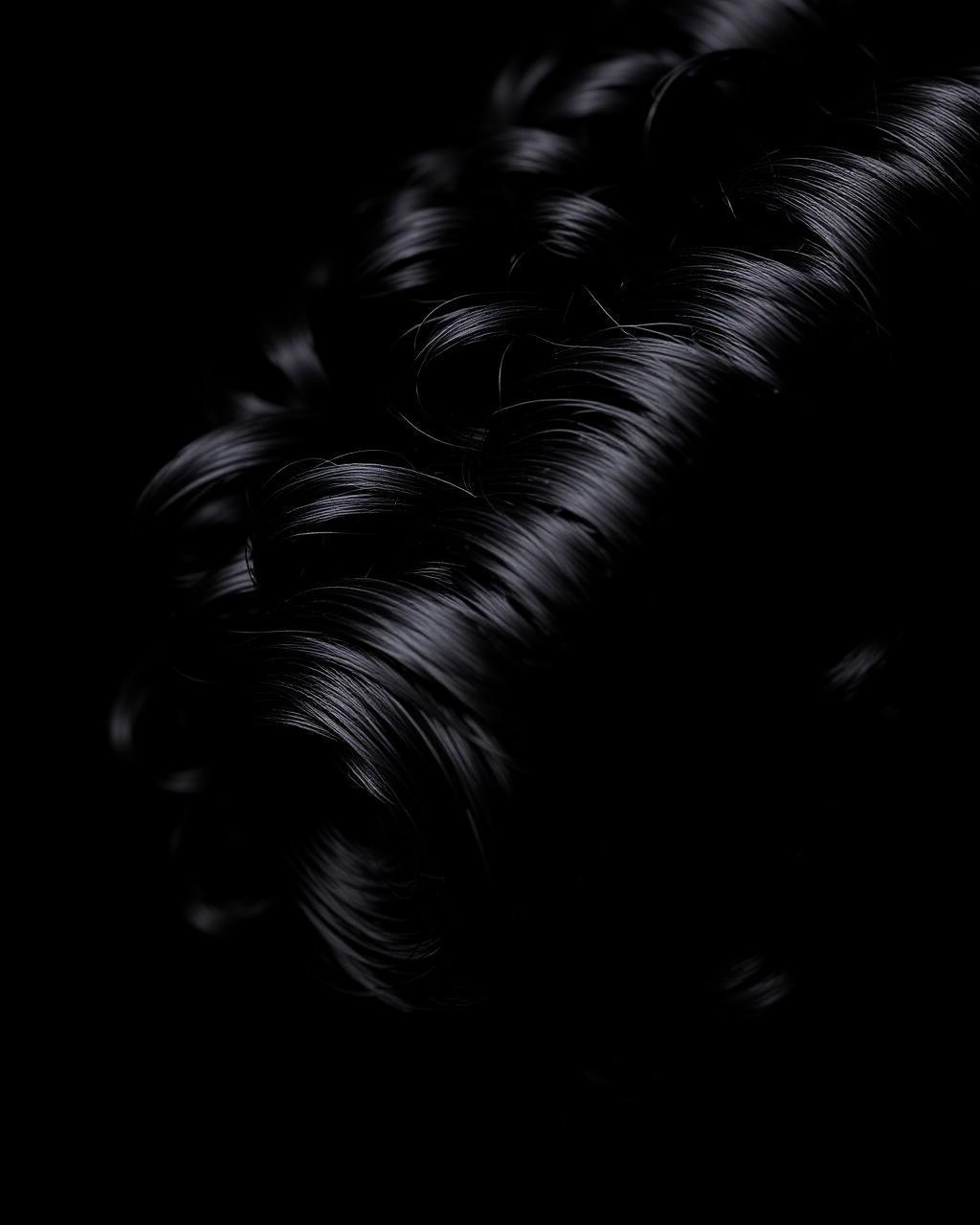 Burmese Curl